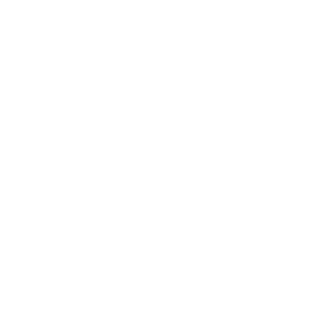 baloonicon